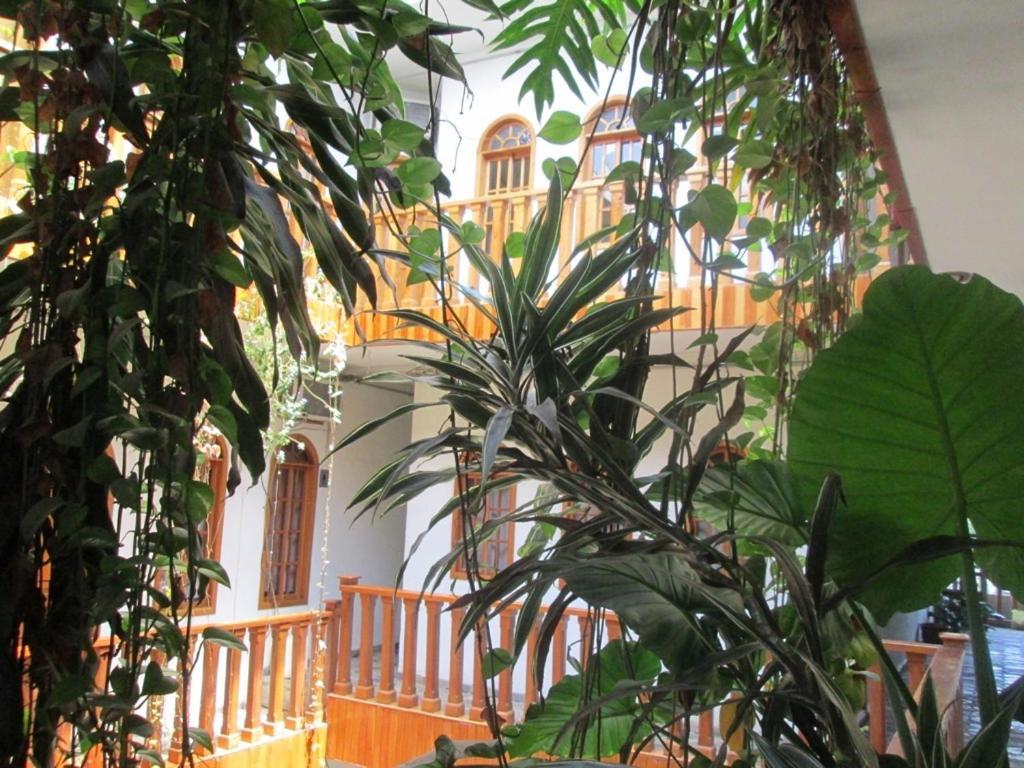 Hotel Guzman Xilitla Kültér fotó