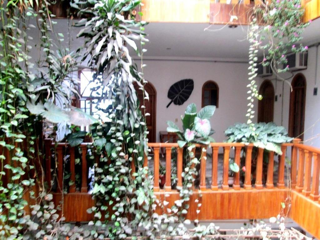 Hotel Guzman Xilitla Kültér fotó